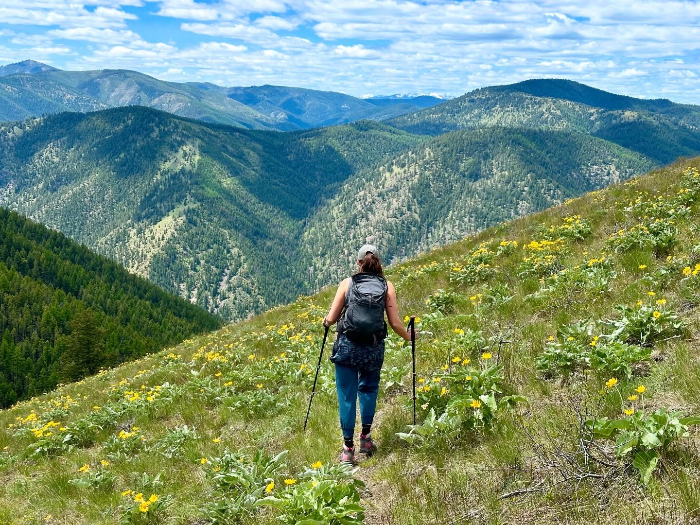 Hiking with my lady&hellip;she&rsquo;s the &lsquo;Summit&rsquo; part of River Summit.  #hiking #hike #hikingadventures #outdoors #outdoor