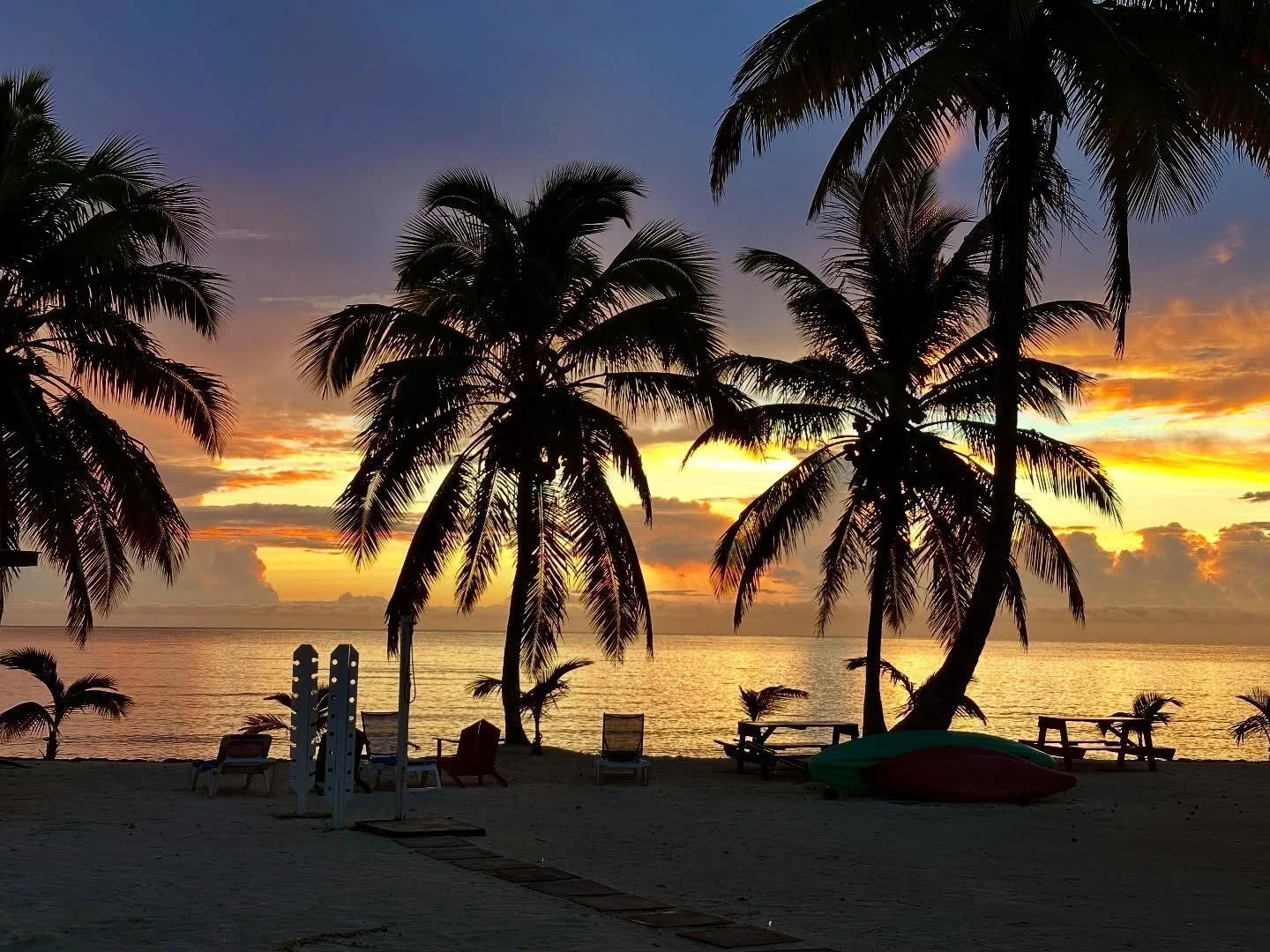 #bahamas #bonefish #andros