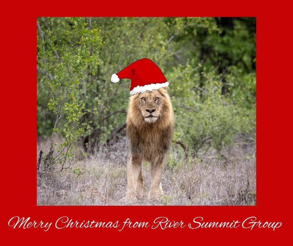 Wishing family &amp; friends, near &amp; far, a very Merry Christmas from the South African bush.

#riversummitoutfitters #photosafari #southafrica #merrychristmas