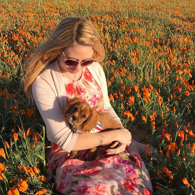 Being a puppy-mama to @doodlethecavalier is one of my favorite things in the world. Happy #mothersday to all those other pet-mamas and human mamas out there. You all ROCK!
