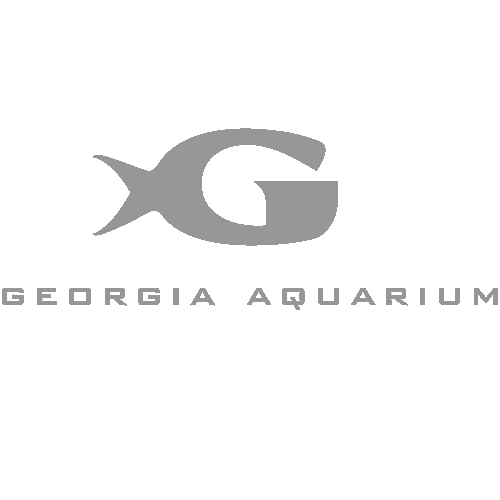 Georgia Aquarium The MJS Groupe