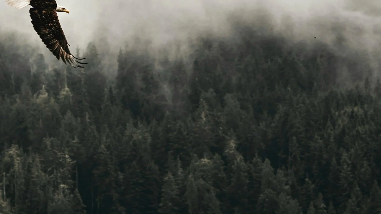 unsplash-image-fM2aOezzEoQ.jpg