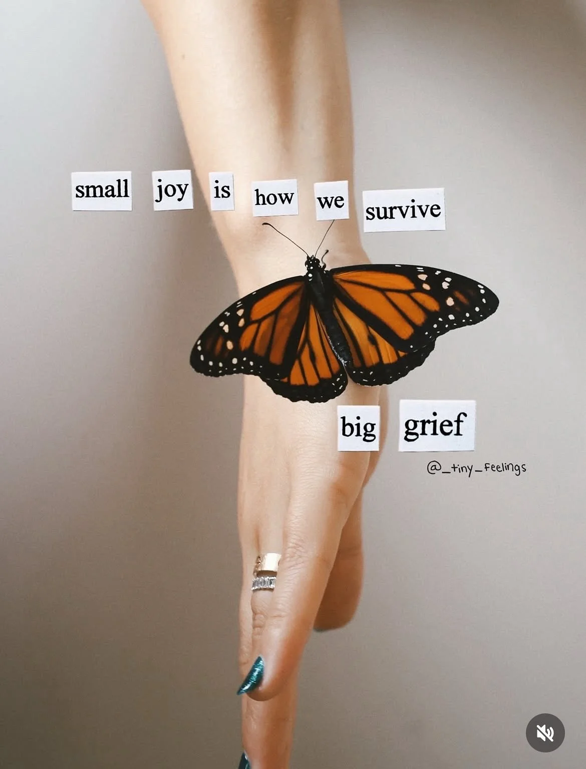 ohhh grief, you continue to amaze me - showing up in the most random moments.
I read the word walk in a book and realized we&rsquo;ll never go on a dog walk again.
I heard a song you loved and listened to it on repeat for five hours.
Deep sobs. Deep 
