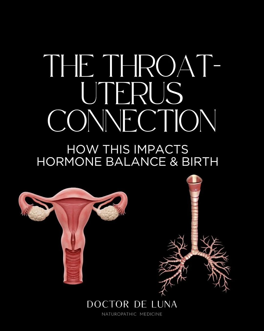 This theme has been showing up a lot in my practice lately: the link between the throat and the womb 🔻

Both are ring-shaped muscles that open when we feel safe, and both connect through the vagus nerve🧠

When you hum, sigh, or make low sounds, you