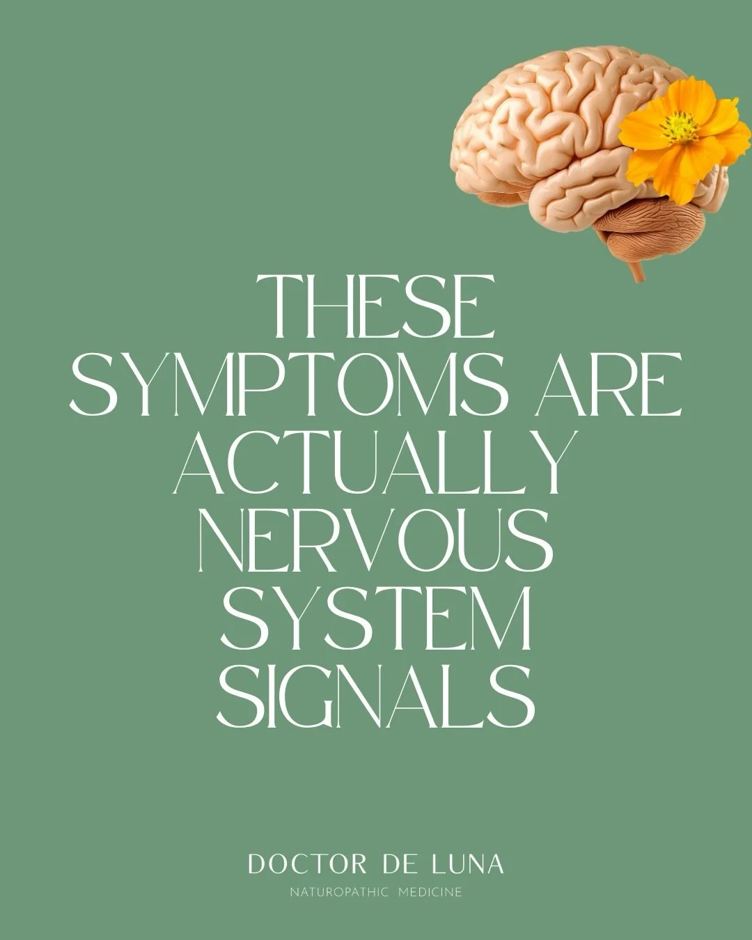 I see this all the time in my practice.
People think these symptoms are separate issues, when very often the nervous system is the common thread🧠

🙌If this resonates, I&rsquo;m teaching a live nervous system regulation masterclass on January 27.

C
