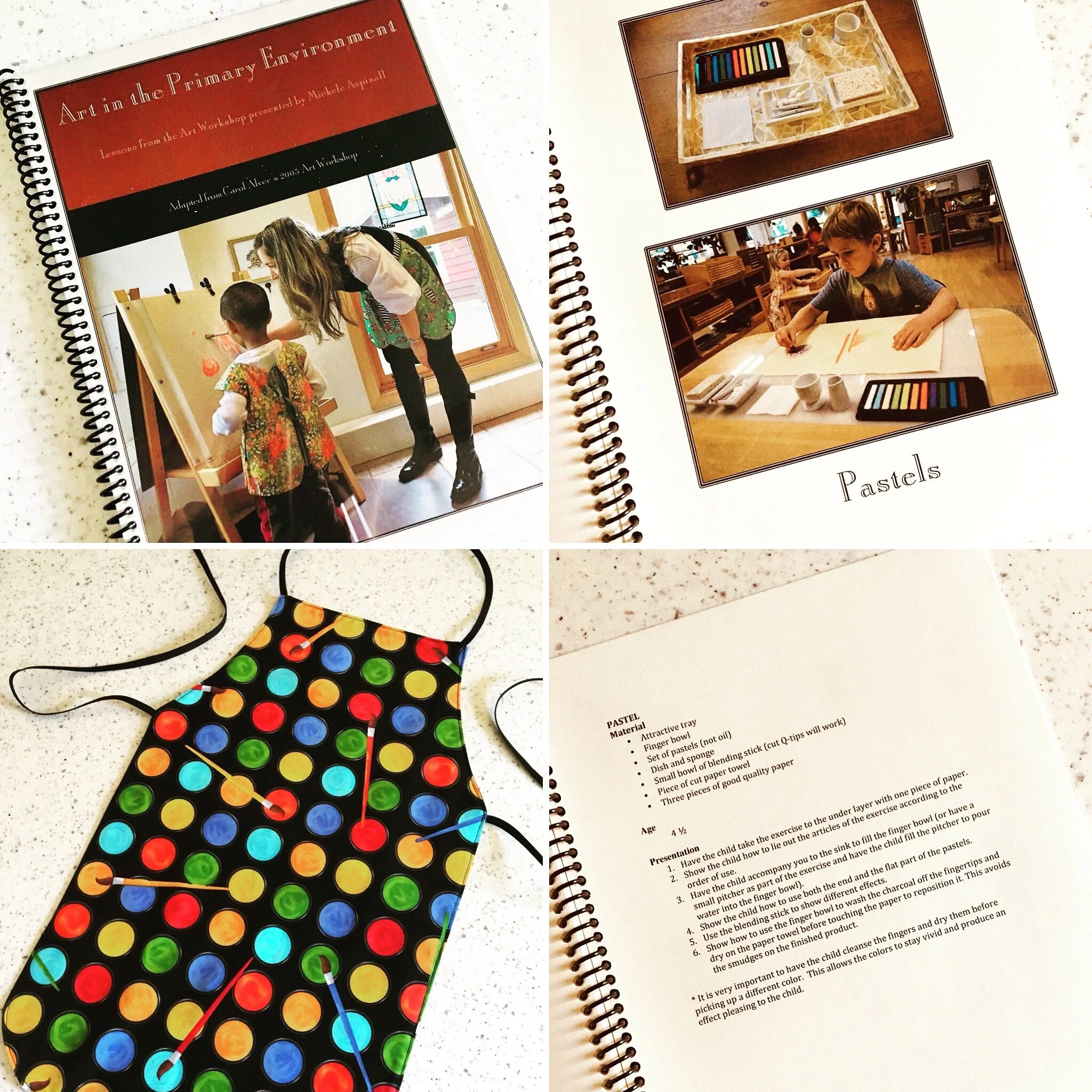 Art in the Primary Environment: Lesson Book