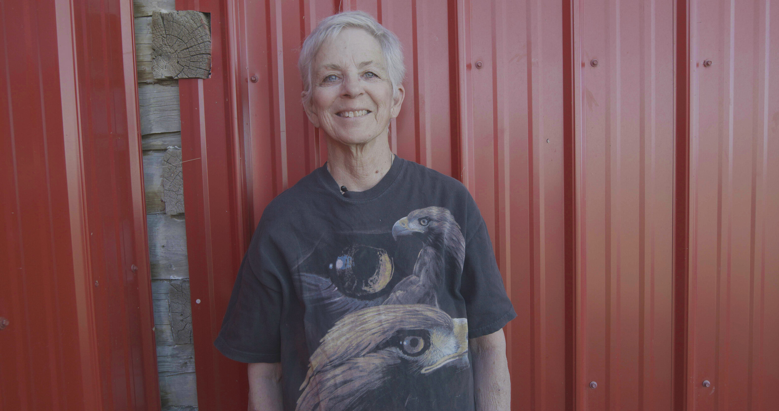 Susan Ahalt, Ironside Bird Rescue