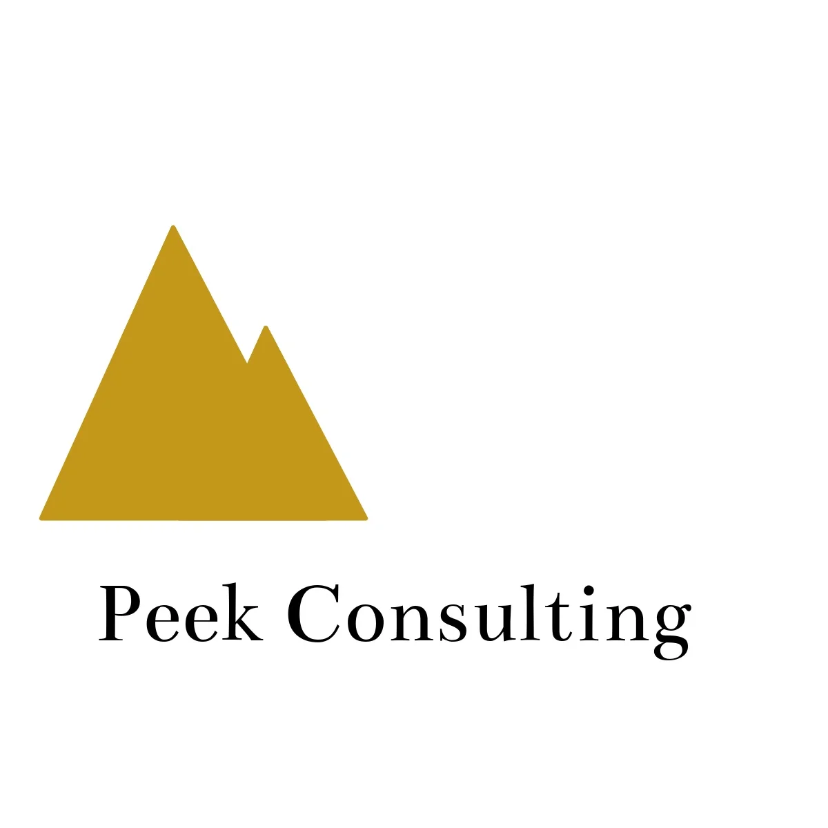 Peek Consulting.jpg