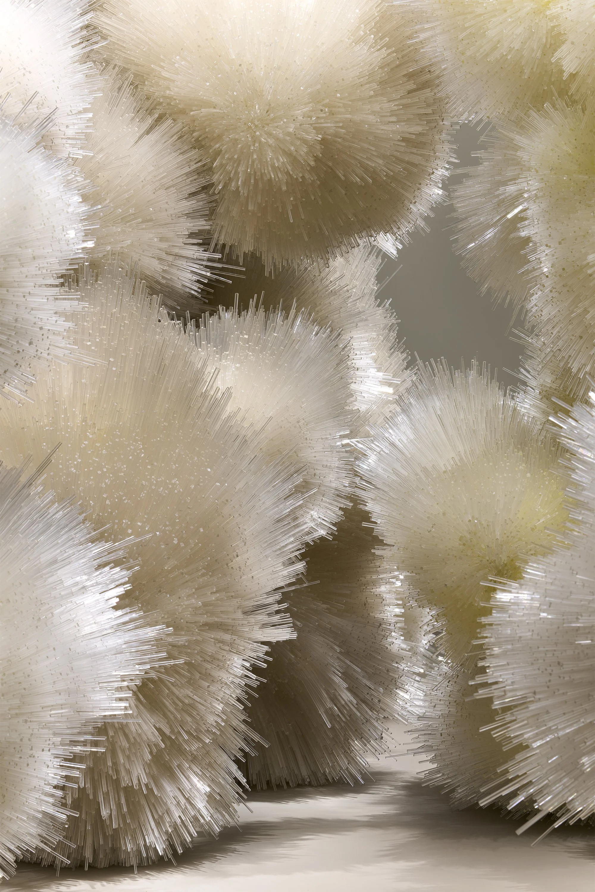 Donovan_Aggregations_Bruce Museum_detail.jpg