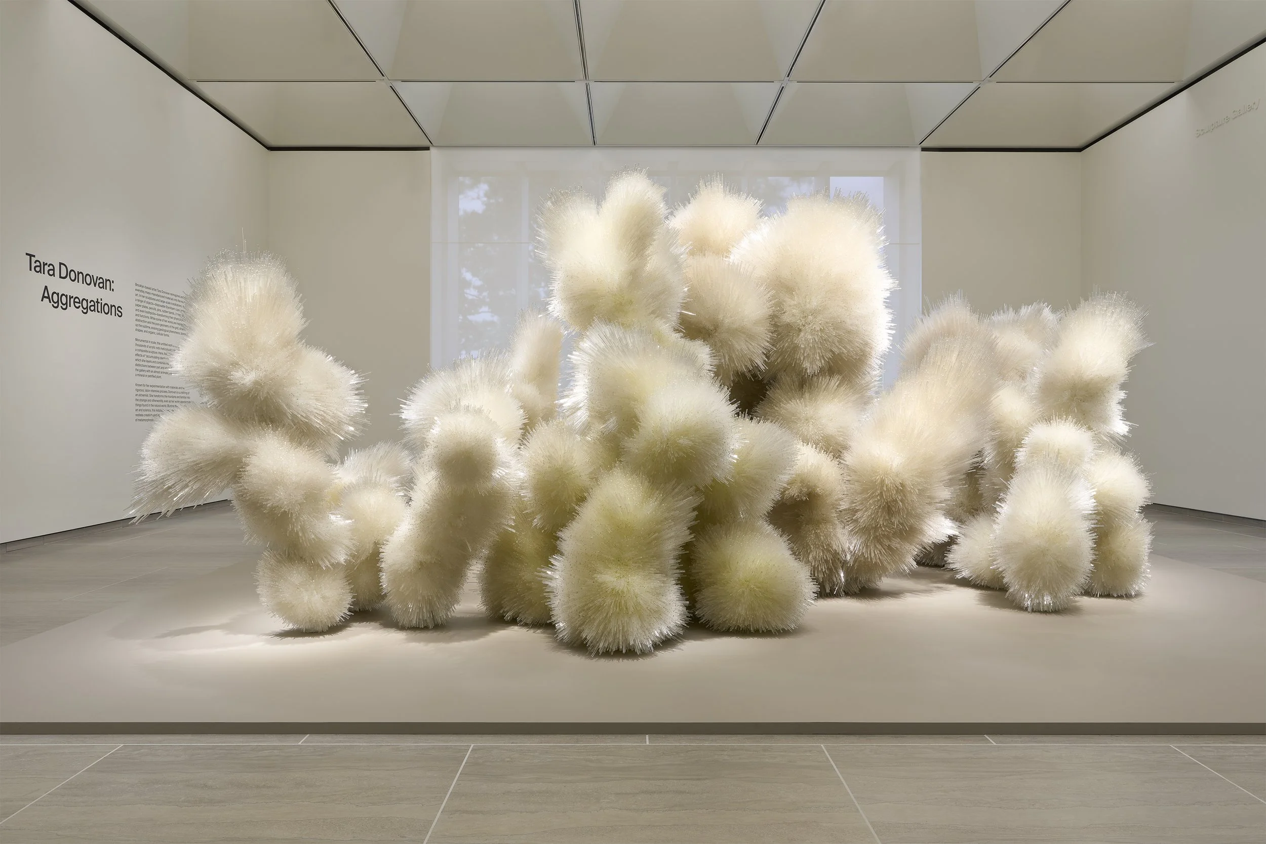 Donovan_Aggregations_Bruce Museum.jpg