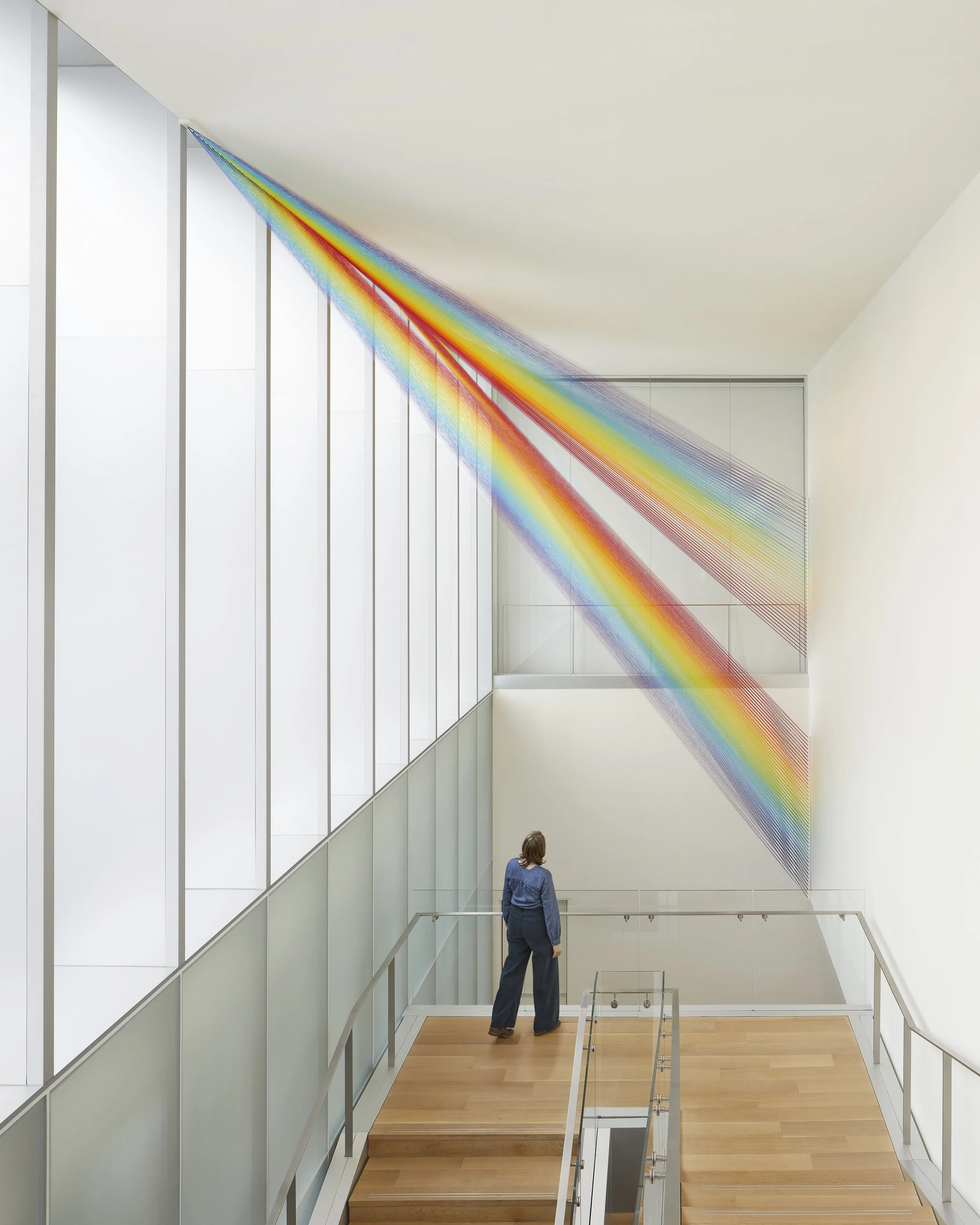 Gabriel Dawe_Plexus No. 43_v01_scale.jpg