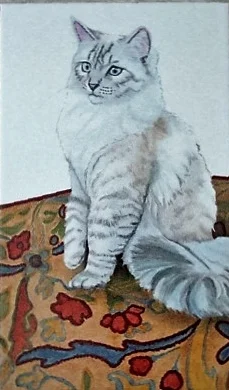 Ragamuffin on Rug.JPG