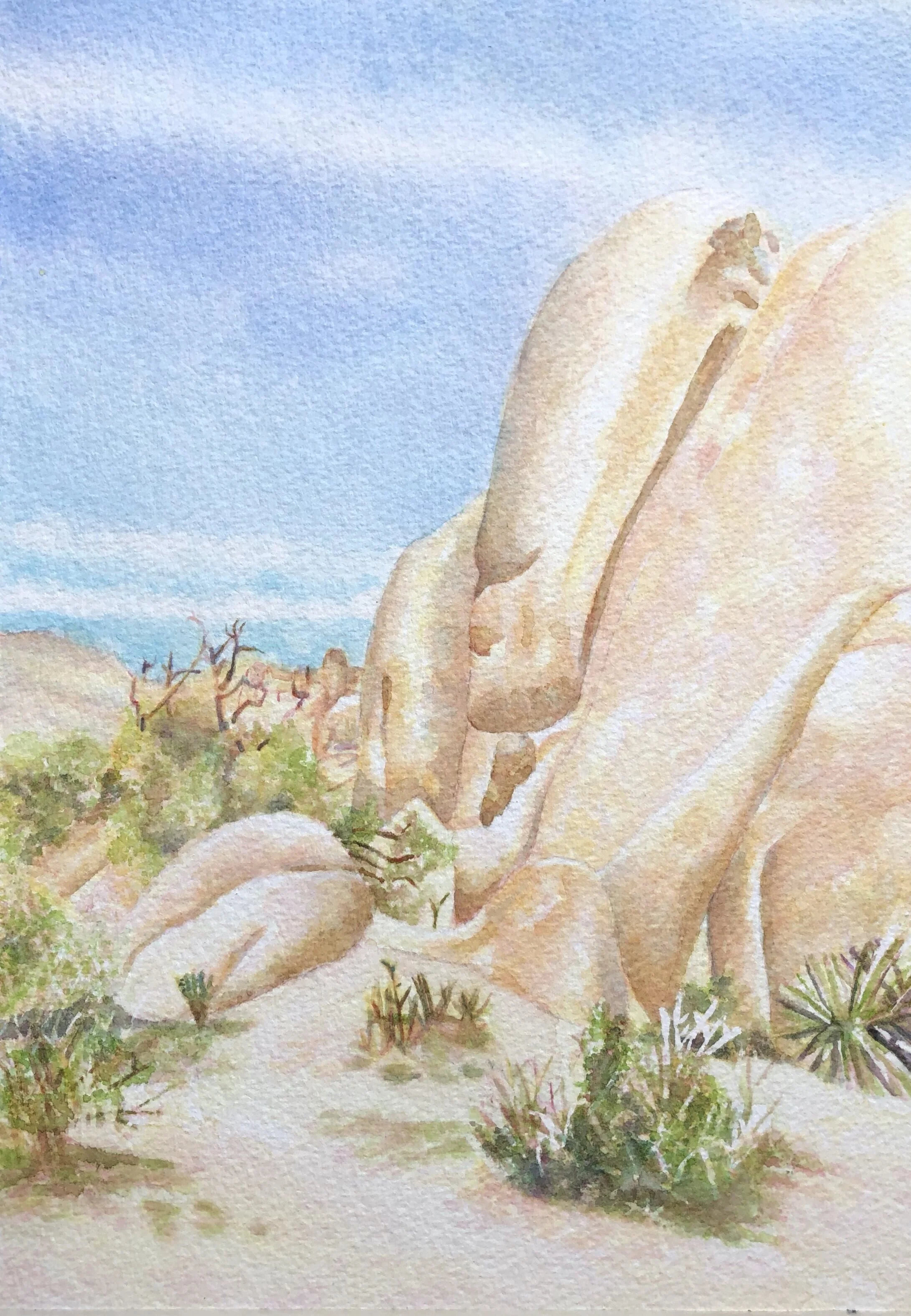 Old Man, Joshua Tree  