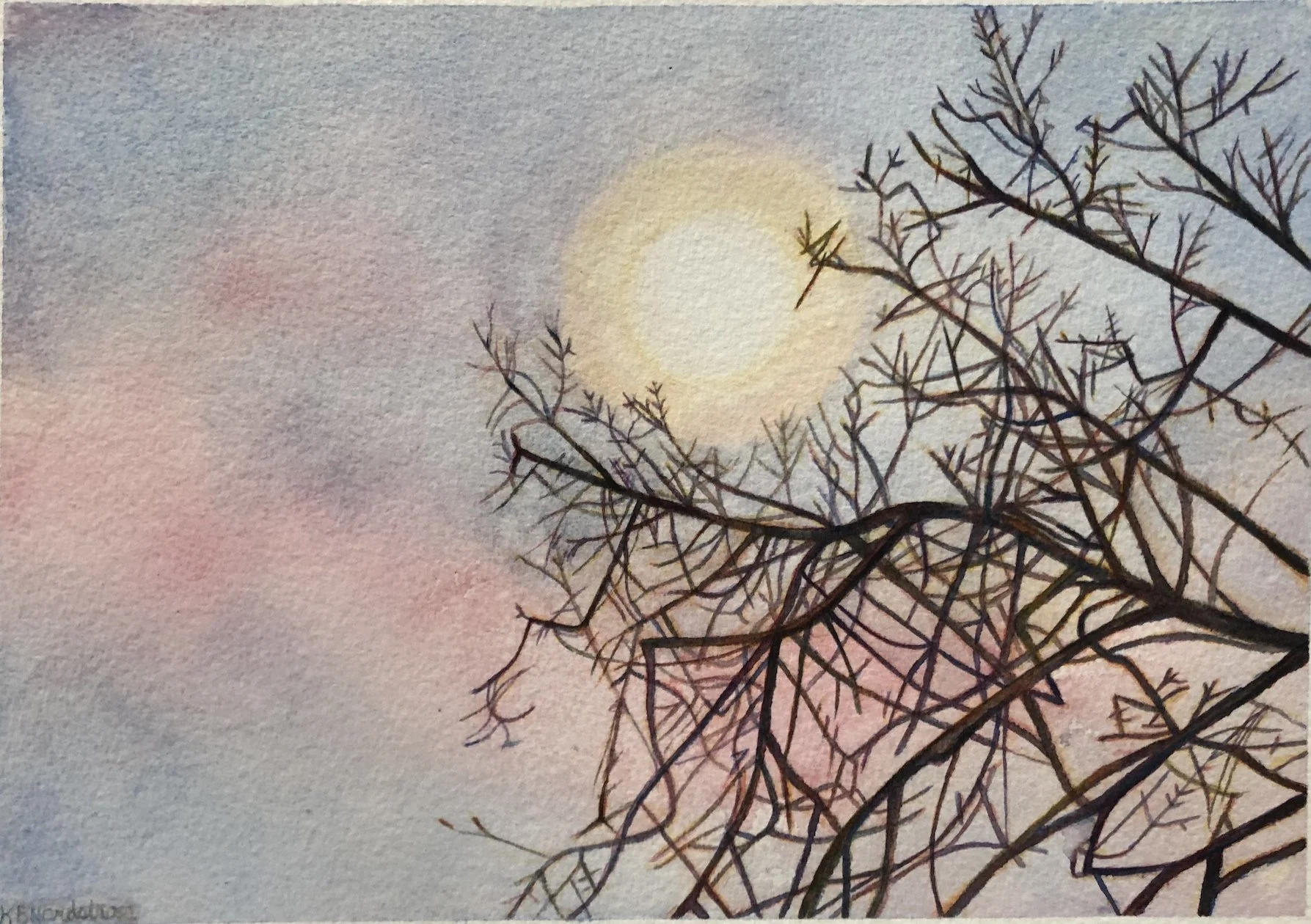 Winter Moon 
