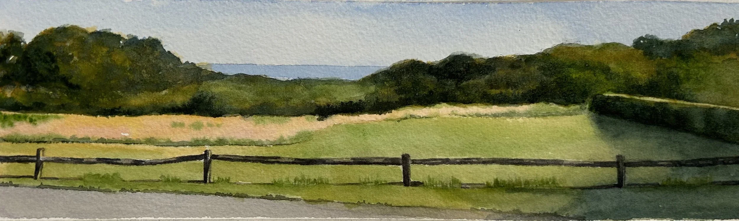 Morning Walk