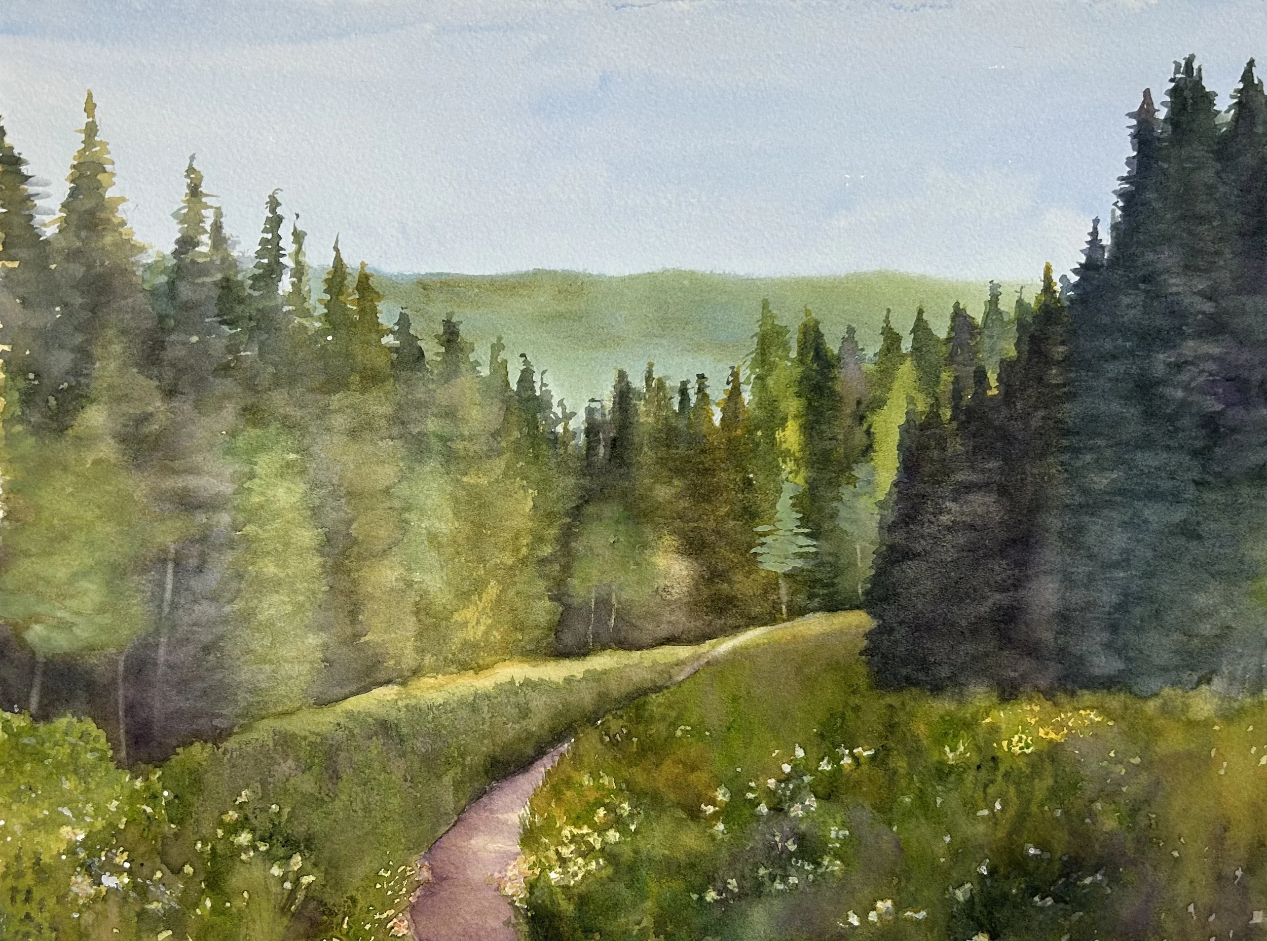 Hiking Among the Wildflowers