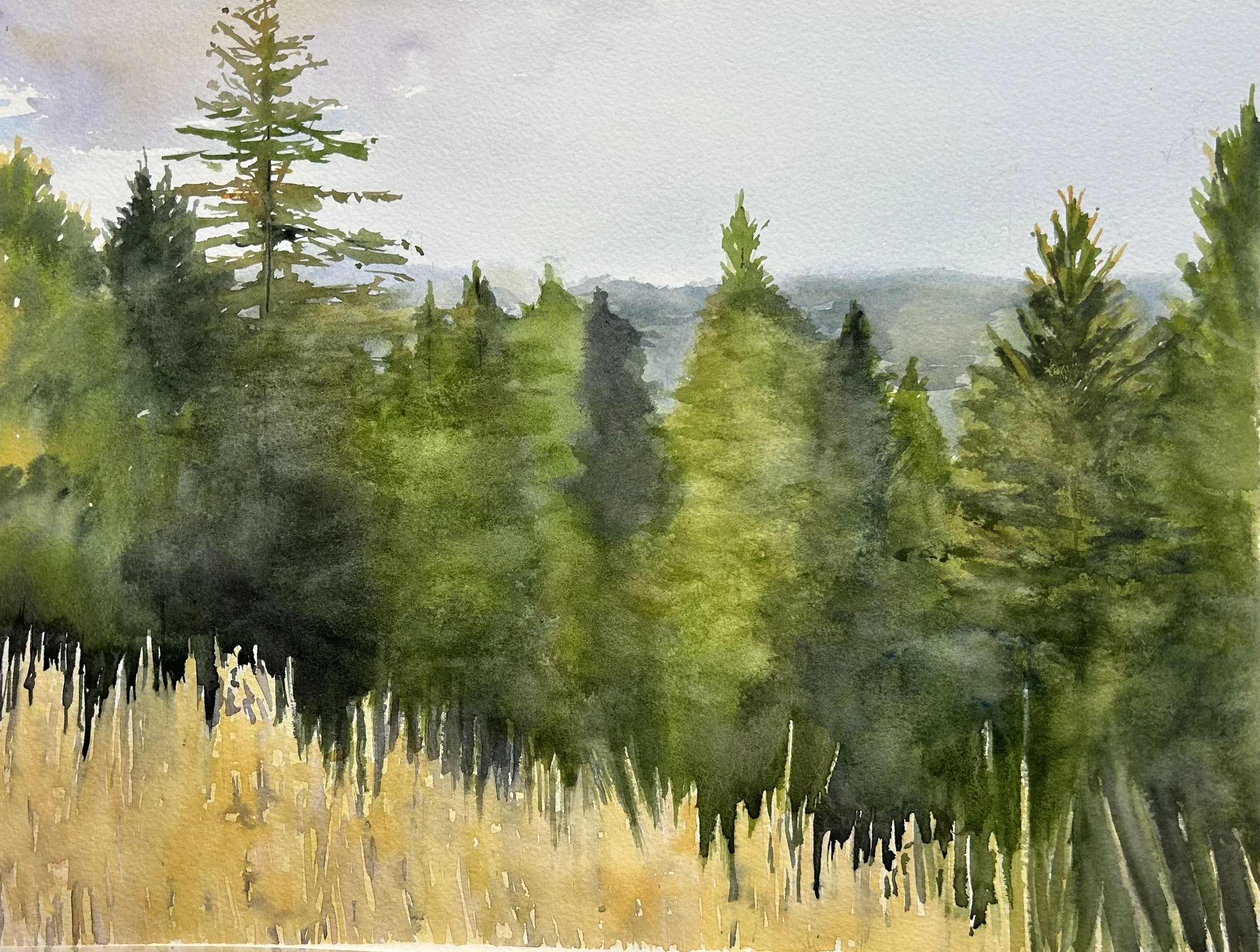 Looking through the Gold