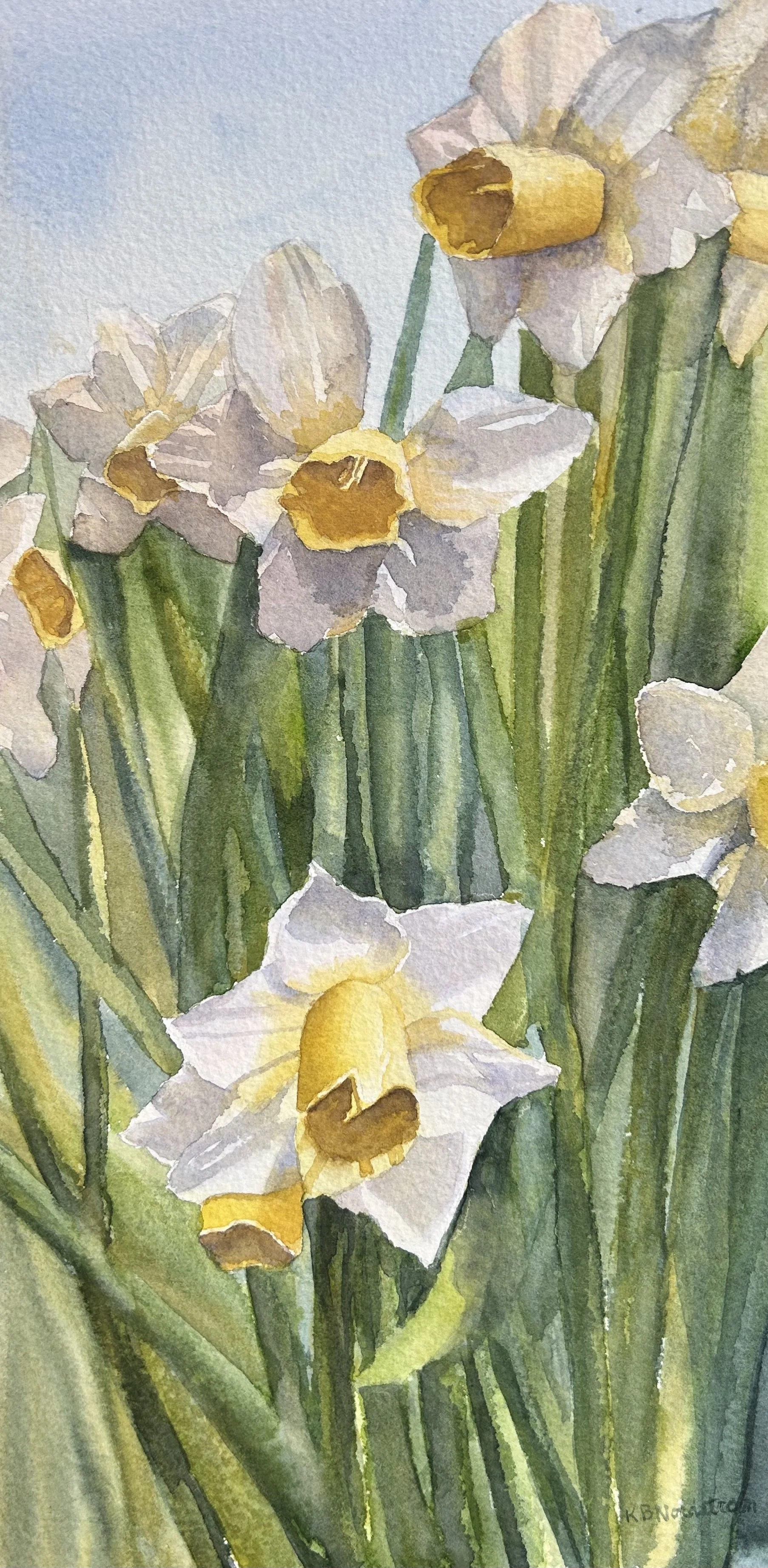 Golden Daffodils