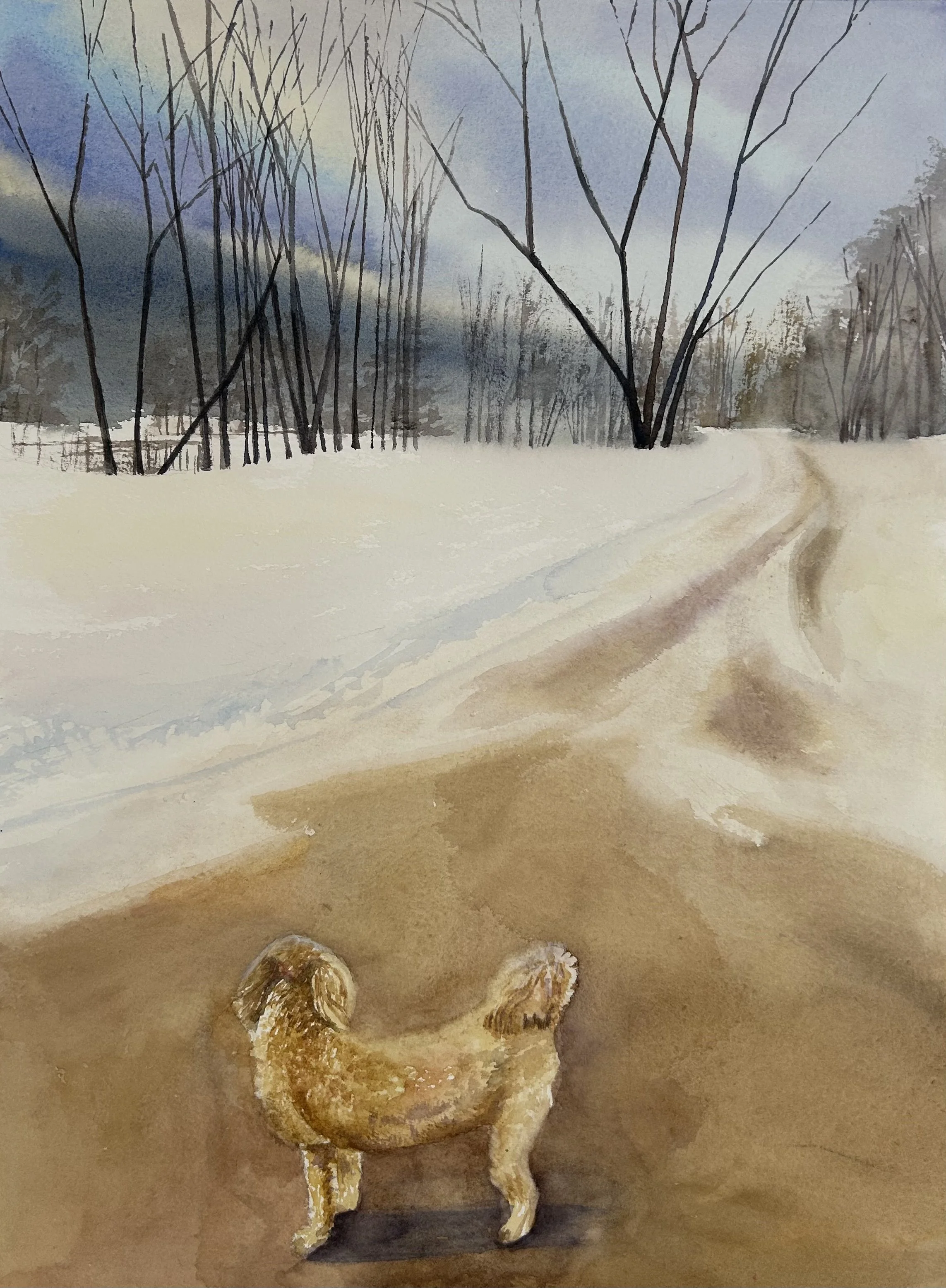 Winter Stroll