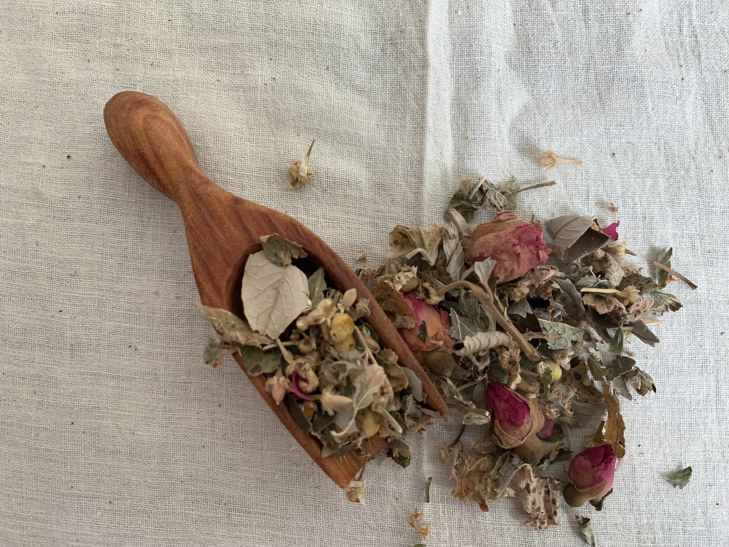 10ECDAA3-BC40-4692-9EE8-F6D31E9DF4D3