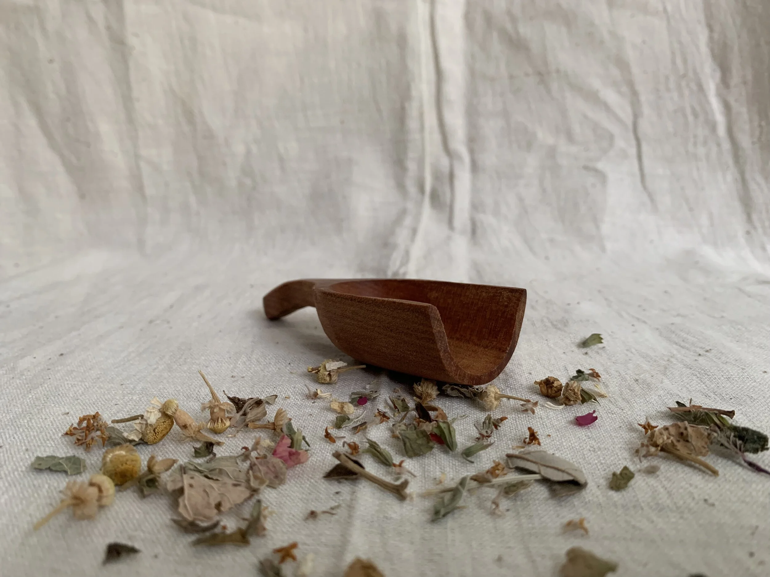 85644B7F-840E-4922-B4F8-44F386D1896C