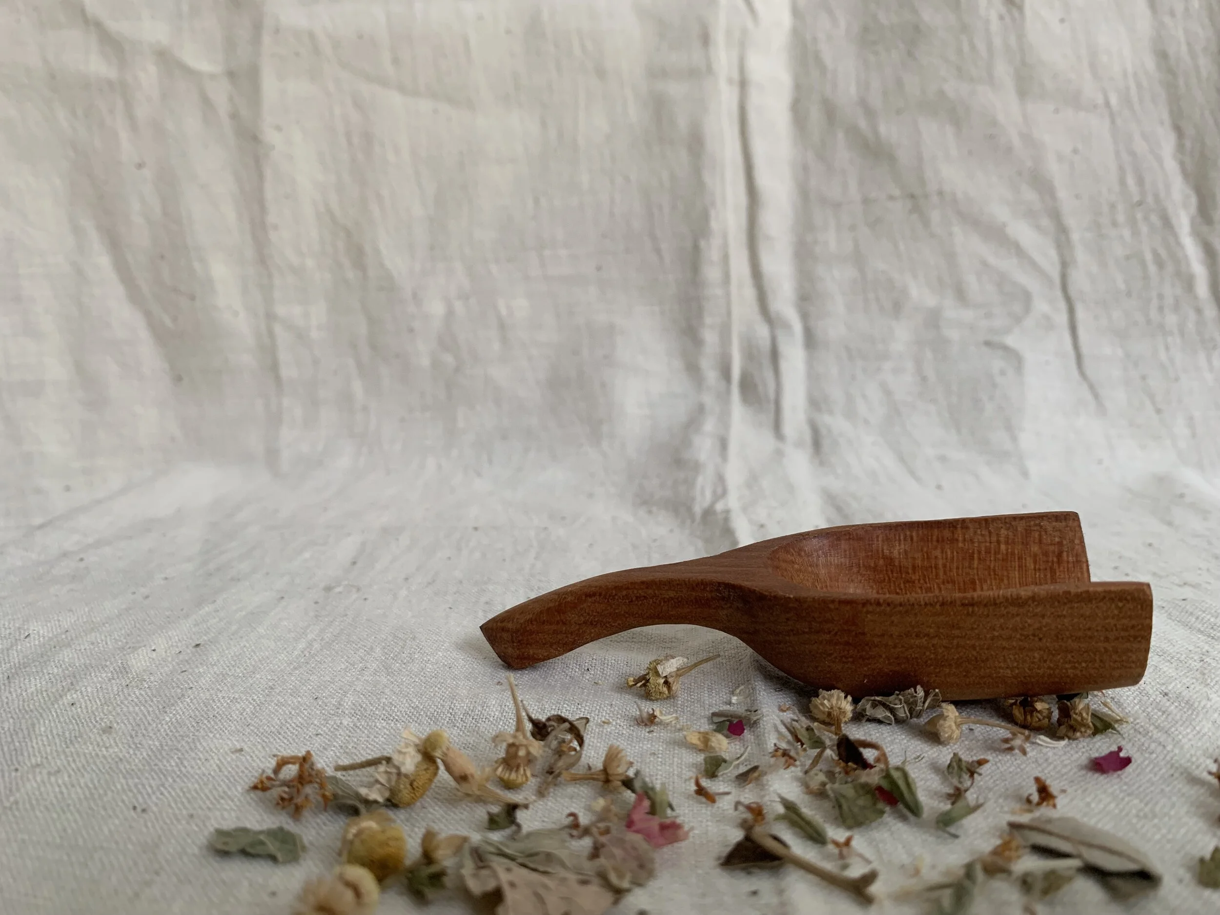 D8FE1D0C-FA38-4646-B6B9-111AEA5ACC5C