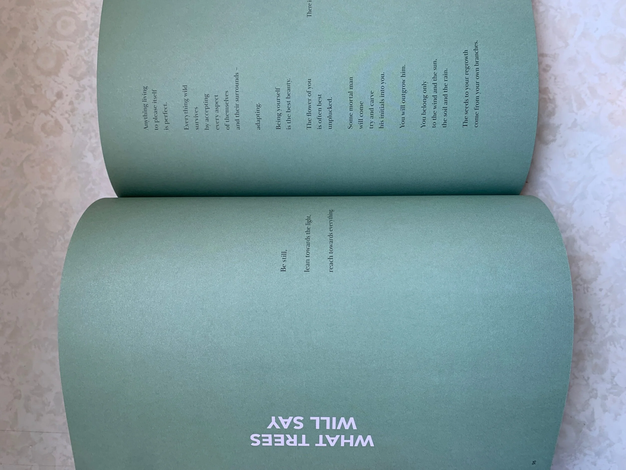 3E59FF8C-D2E9-45AA-8039-FFD4AB127198