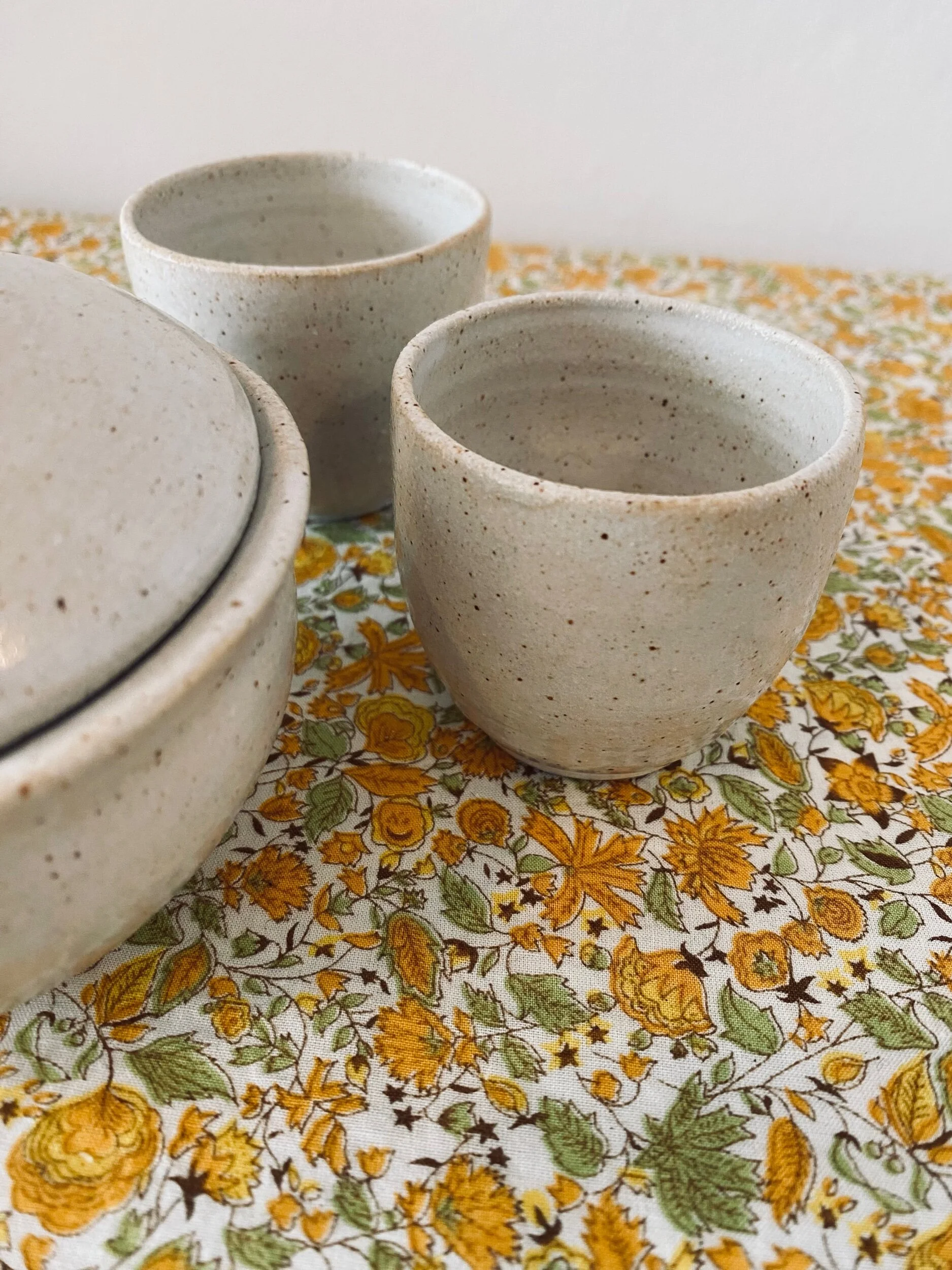 74CE91C5-A71C-4674-AF5D-24D0AC52D023