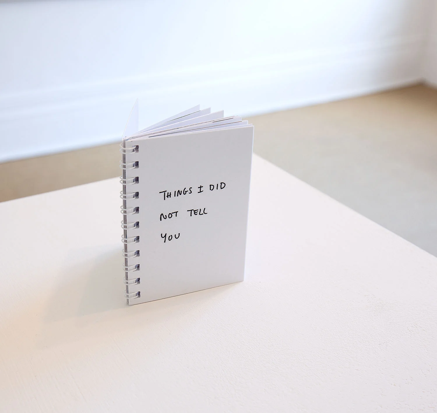 Book by Megan Dunn and Evangeline Riddiford Graham, with images by Christina and Nick