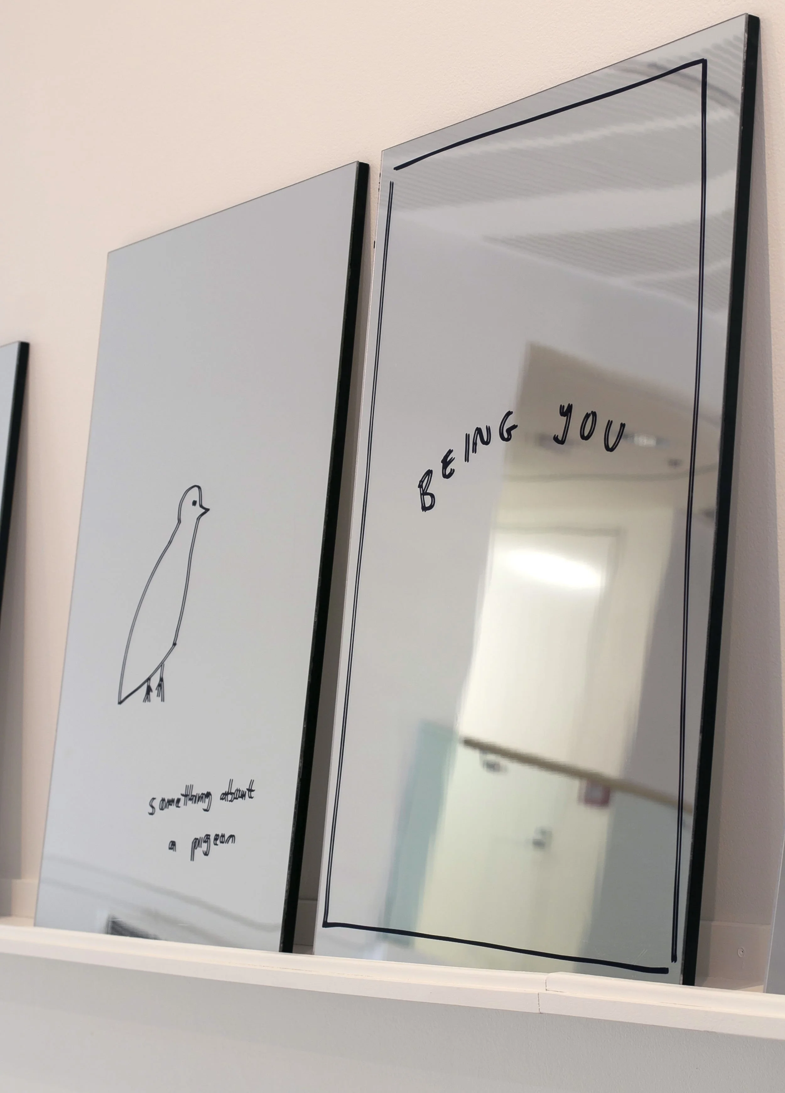09-MIRROR-being-you-pigeon. copy 2.jpg