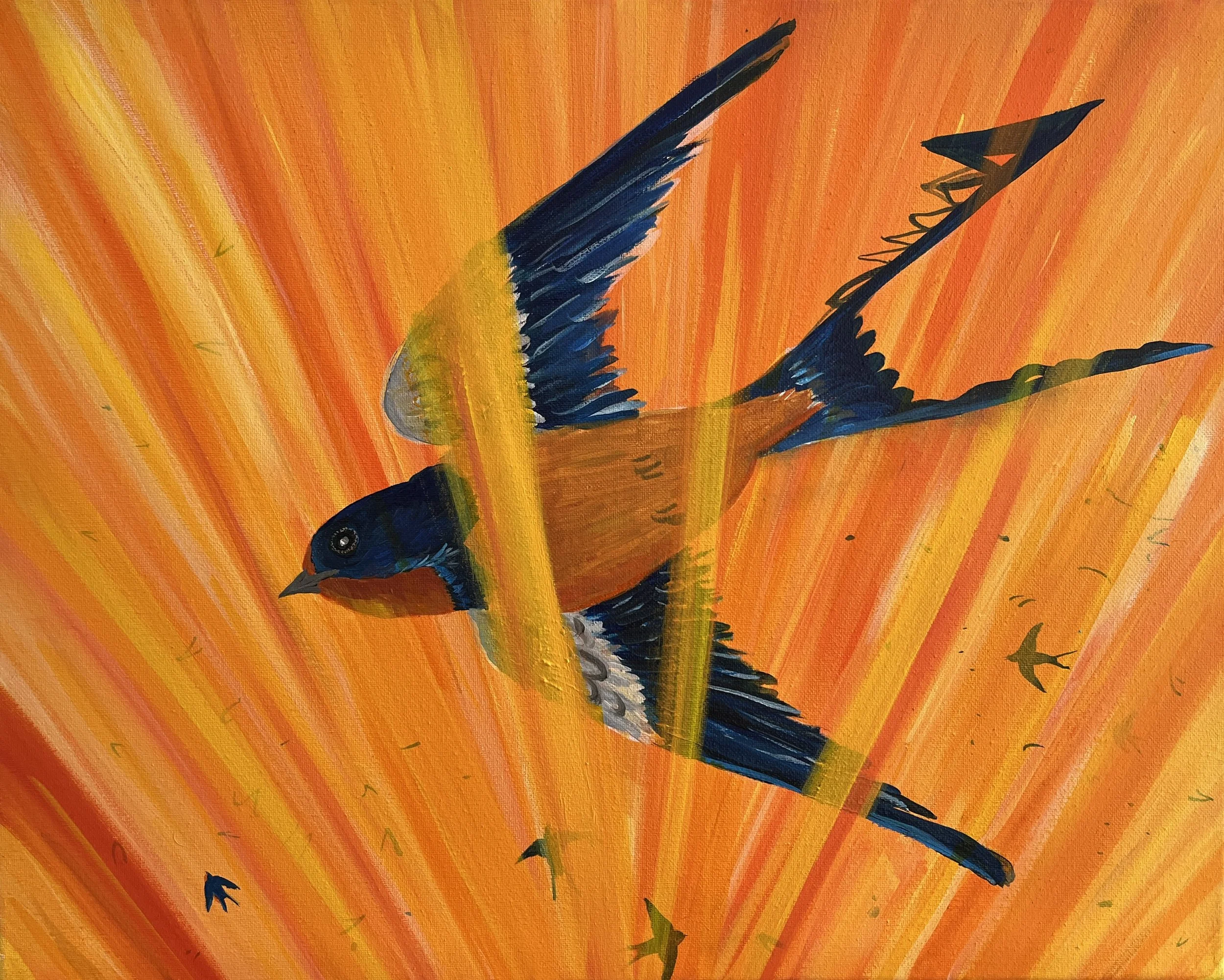 Golden Hour (Swallow)