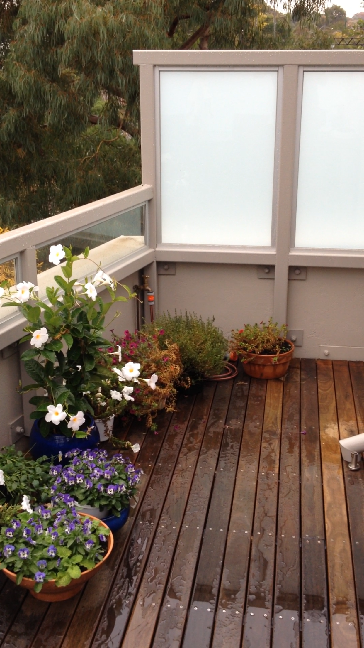 TOORAK ROOFTOP TERRACE  .PNG