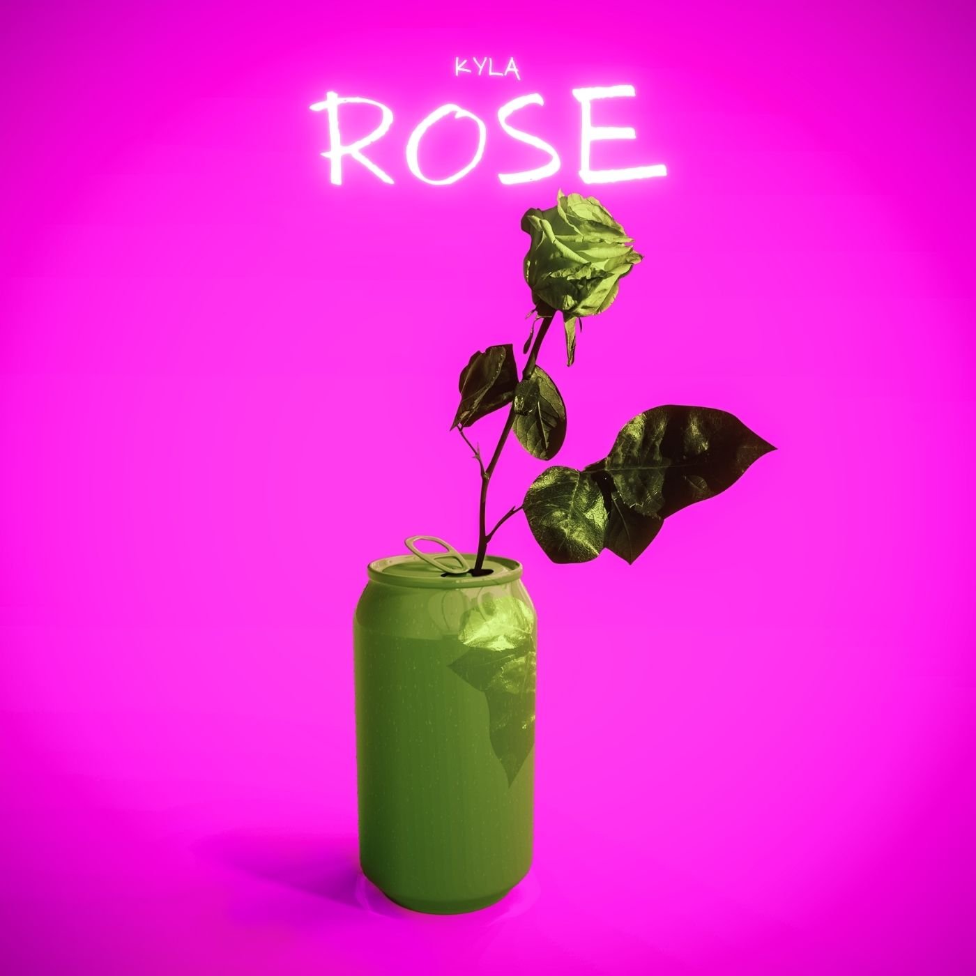 Rose Modern Minimal Music Album Cover Art.jpg