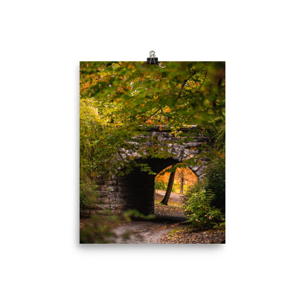 Delaware-Park-Stone-Bridge-sharp_mockup_Transparent_Transparent_8x10.jpg