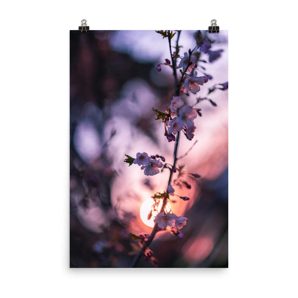 Cherry-Blossom-Print-3_mockup_Transparent_Transparent_24x36.jpg