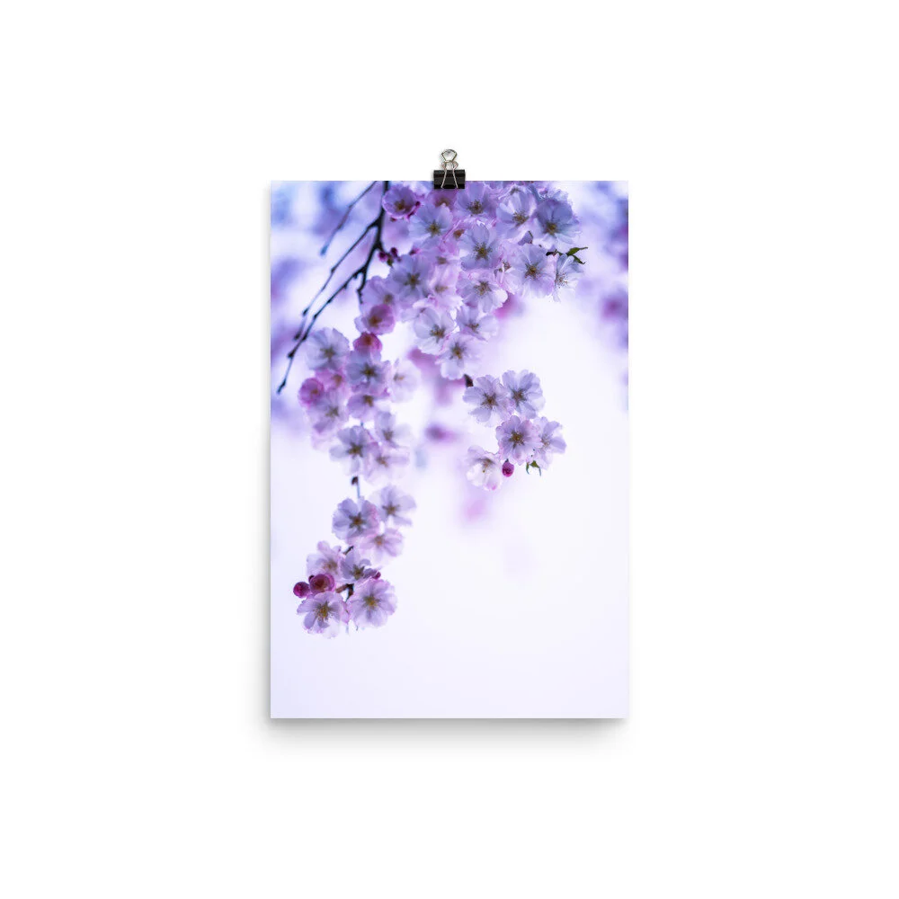 Cherry-Blossom-Print-4_mockup_Transparent_Transparent_12x18.jpg