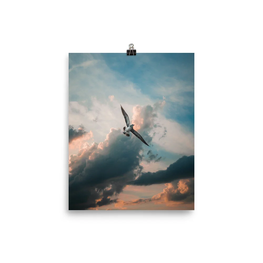 Nimbus_mockup_Transparent_Transparent_8x10.jpg