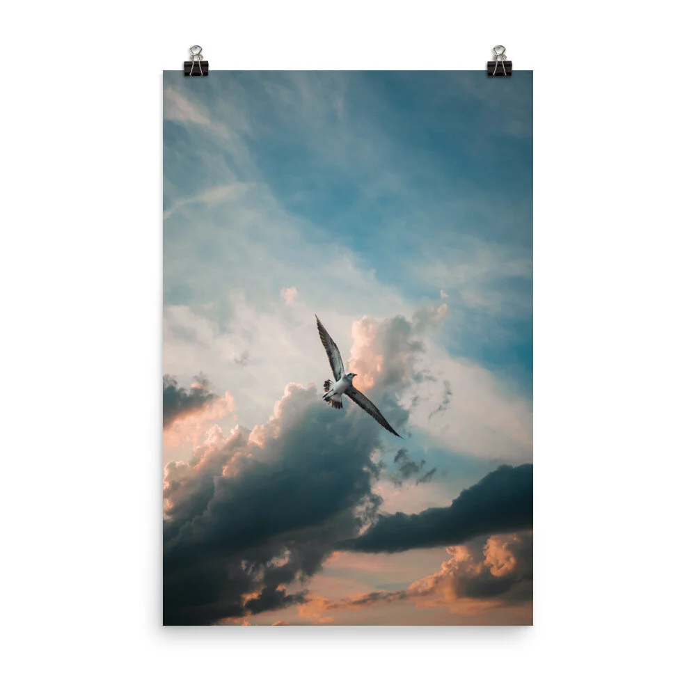 Nimbus_mockup_Transparent_Transparent_24x36.jpg