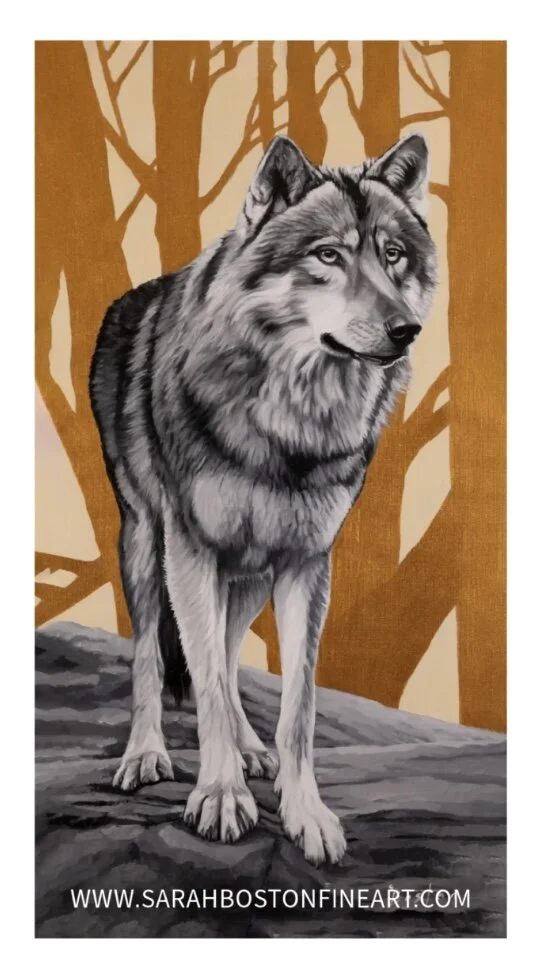 ADF06934-AC39-4F5C-969D-E7FCFEDFD3F5