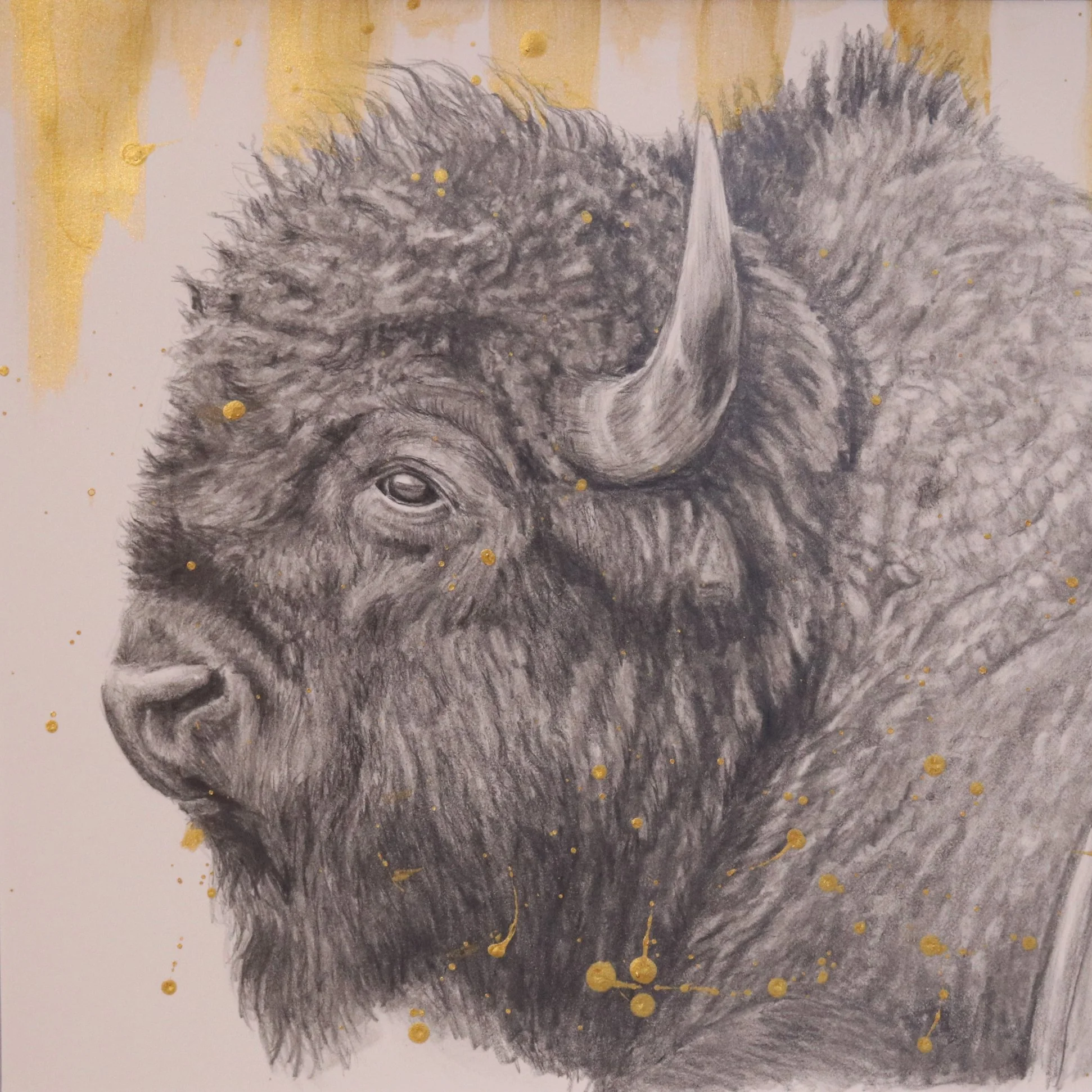 Buffalo and Gold