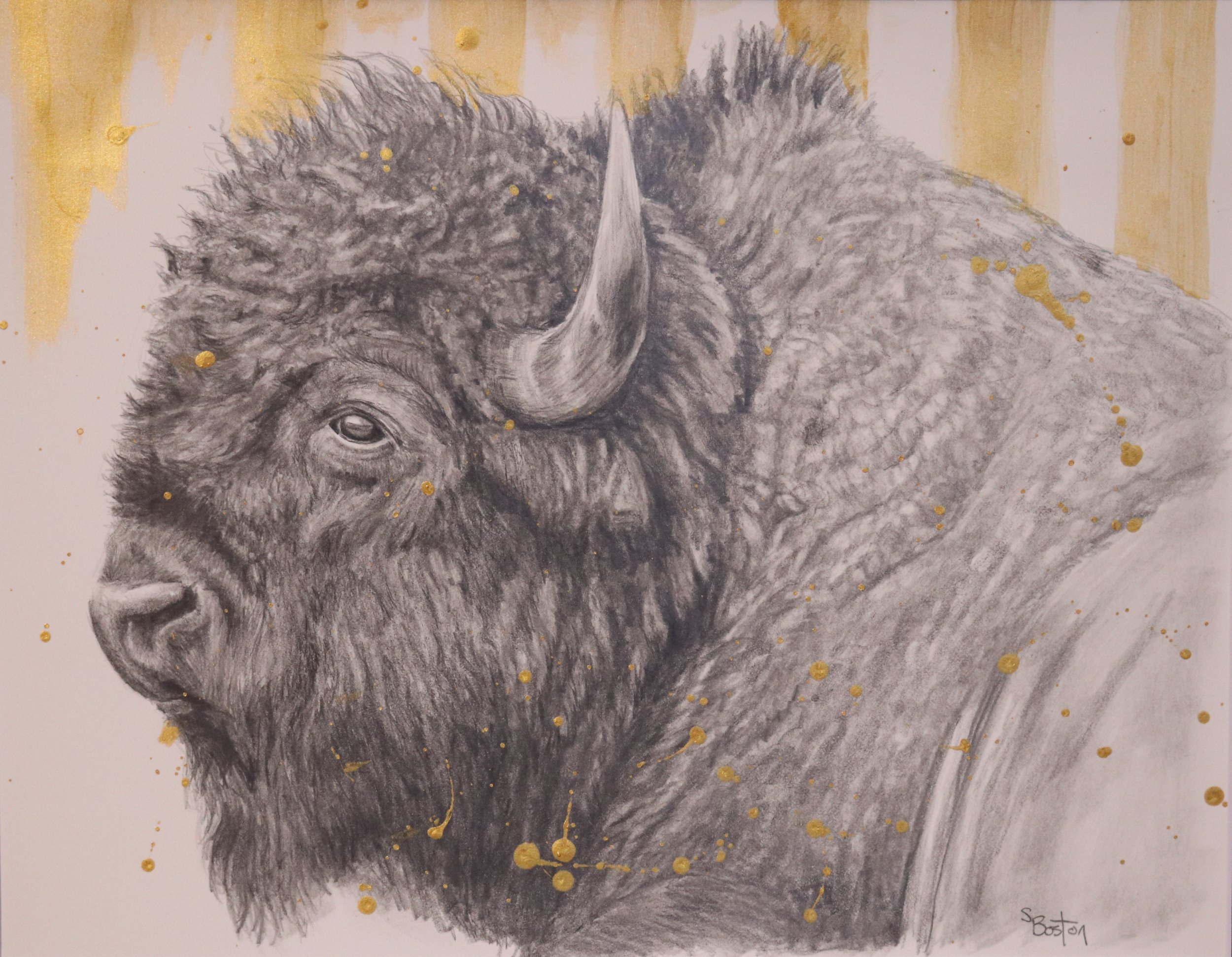 Buffalo and Gold