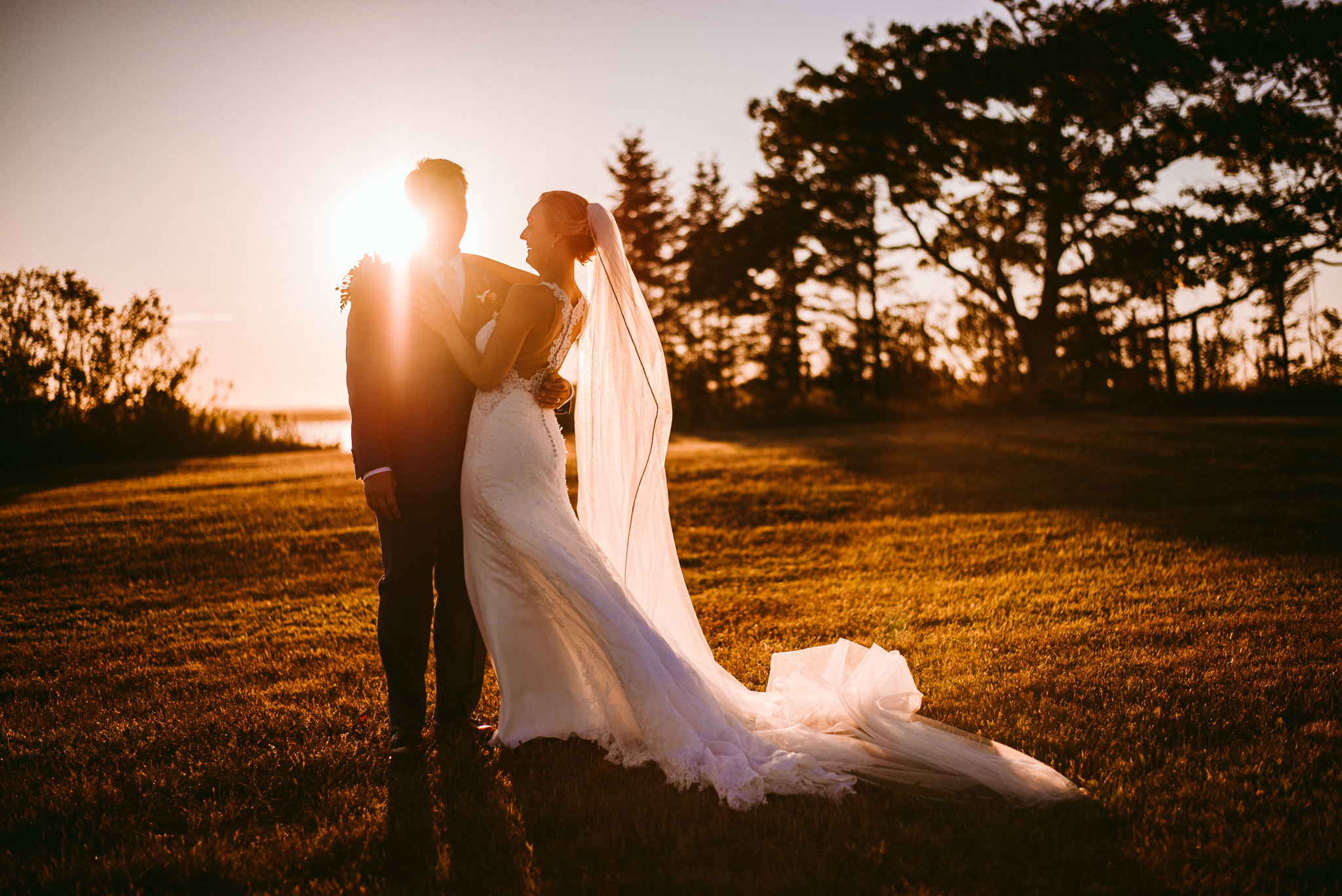 Waivol_Preview-24.jpg
