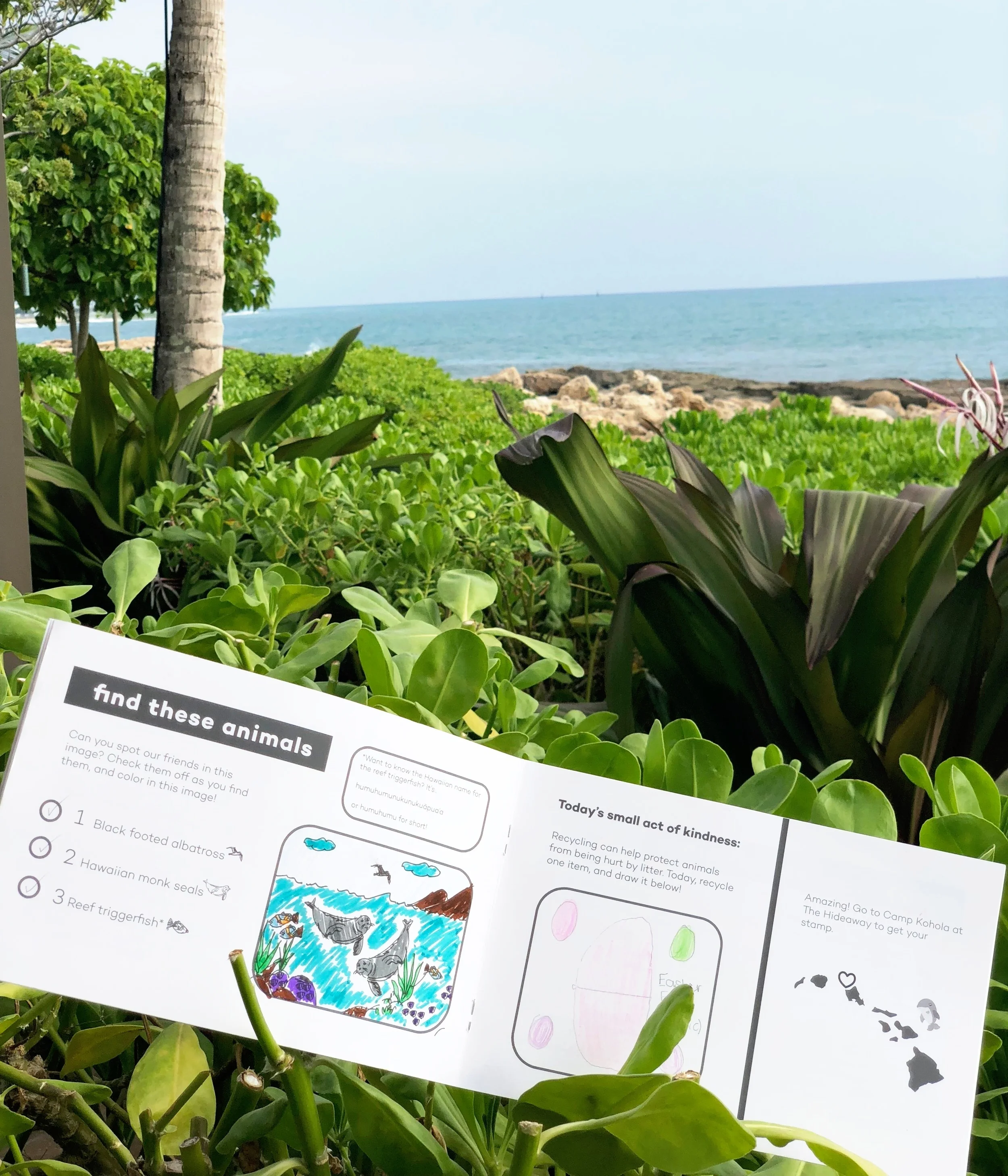 Swirl-Adventure+Guide-Hawaii.jpg