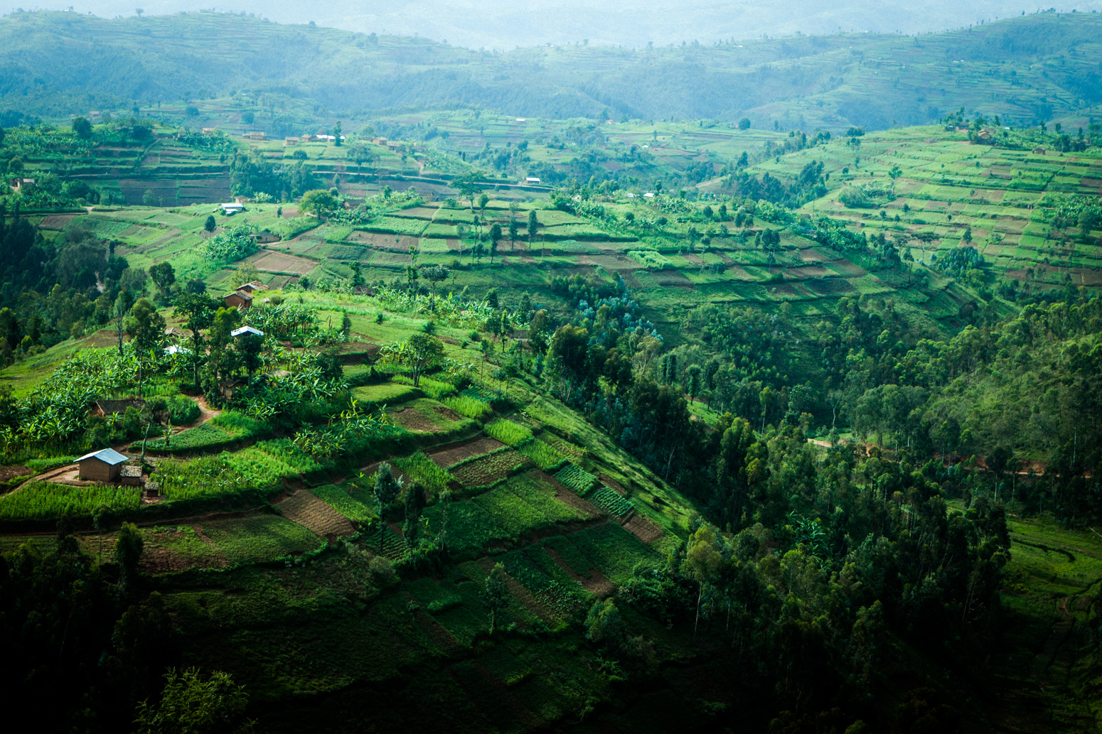 20111130_Abana_Rwanda_0745.jpg