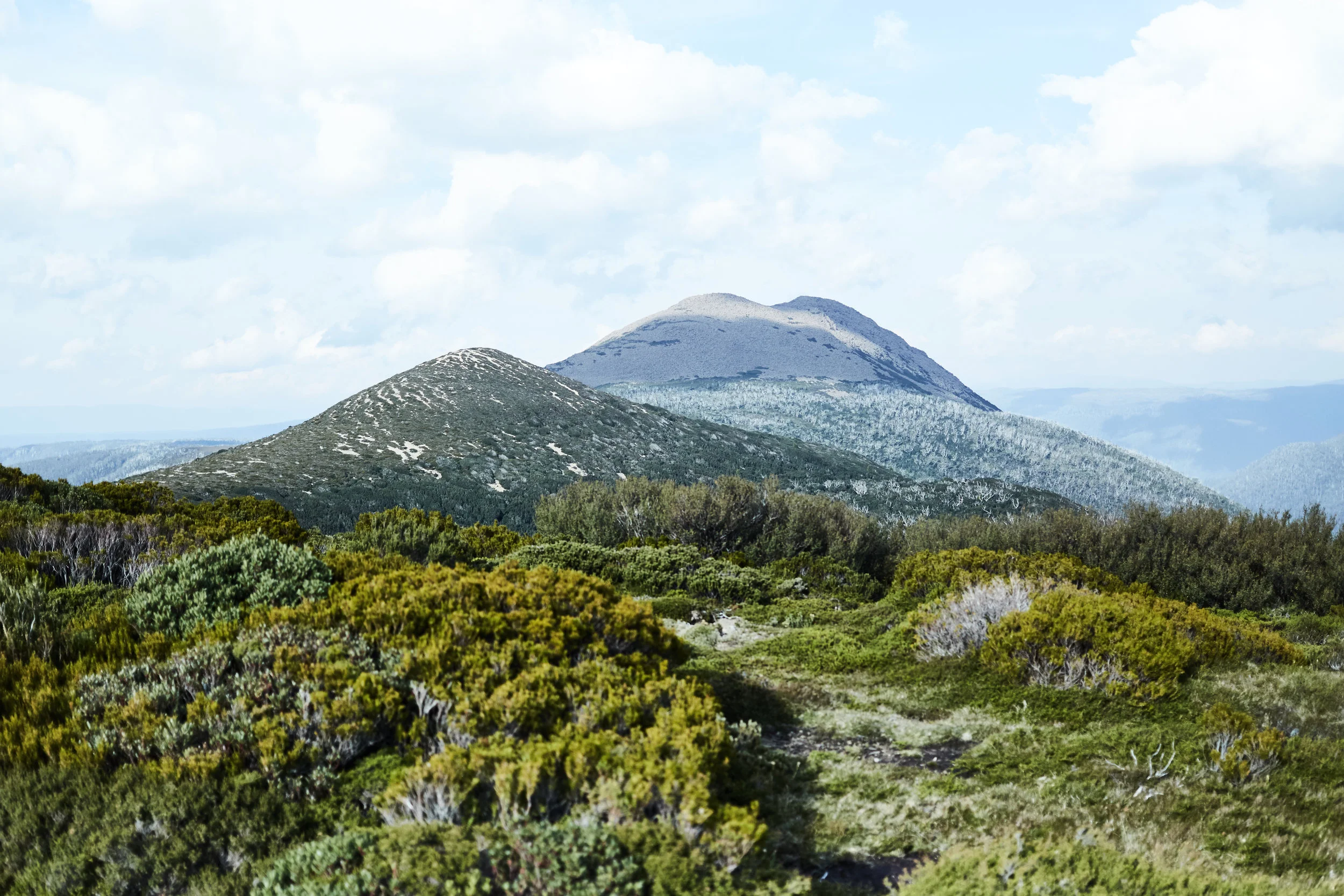 170410 OverlandTrackTas 0320 1.jpg