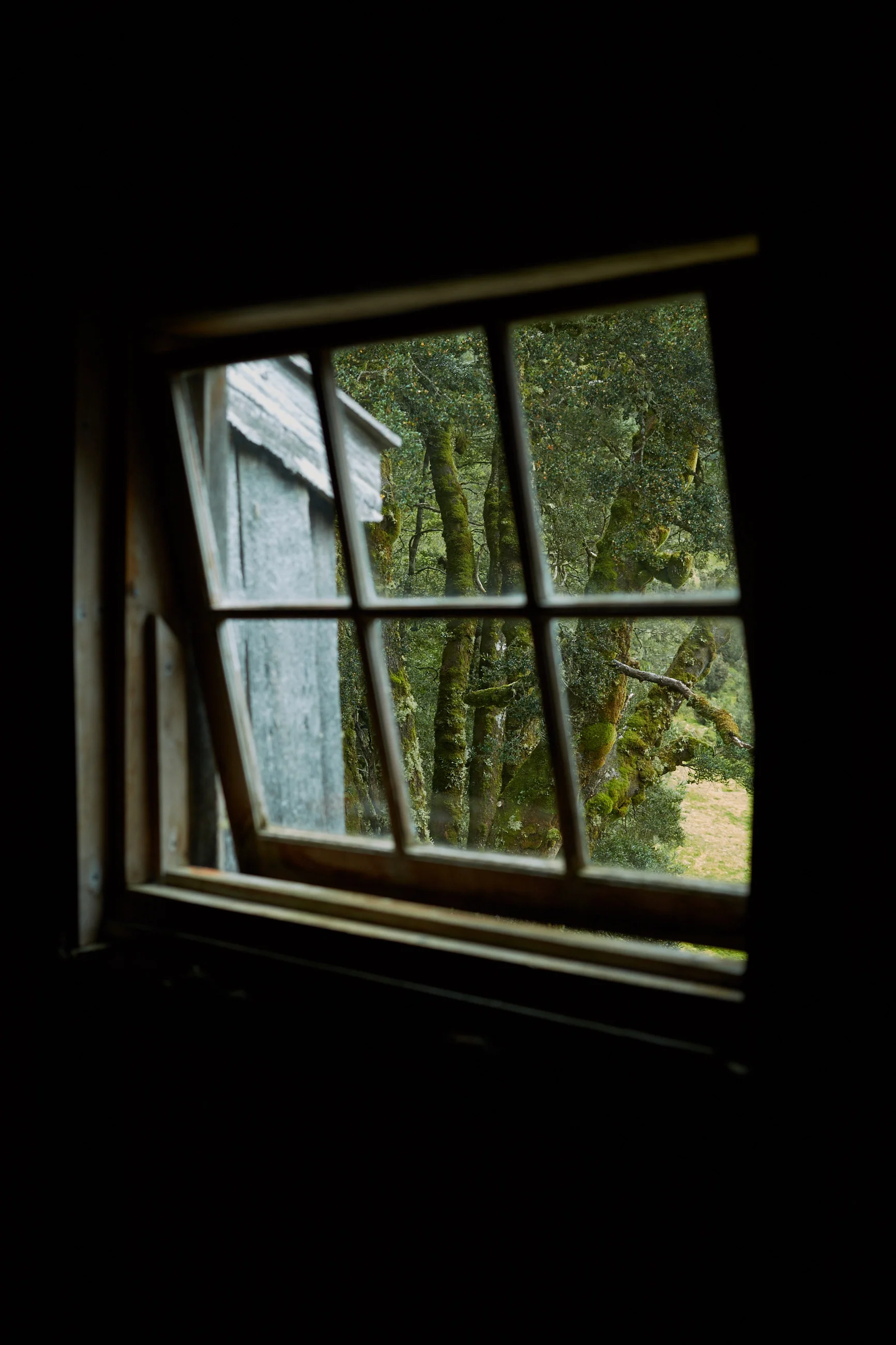170414 OverlandTrackTas 0024.jpg