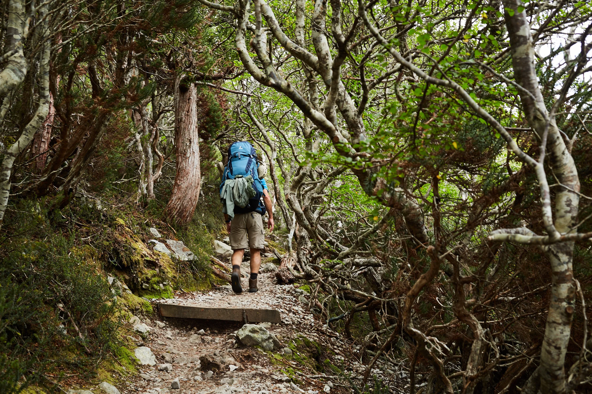 170414 OverlandTrackTas 0091.jpg