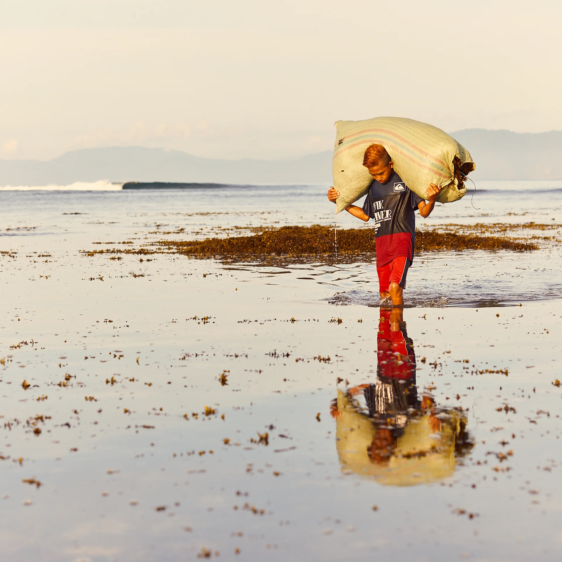 180103 Seaweed Indonesia 0111.jpg