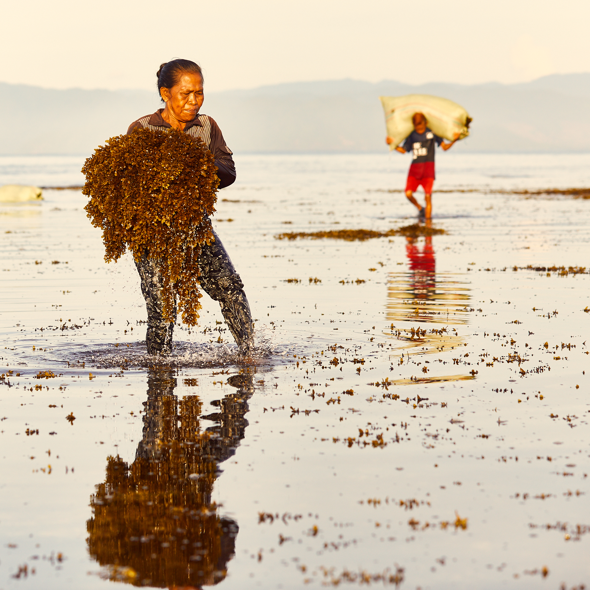 180103 Seaweed Indonesia 0087.jpg