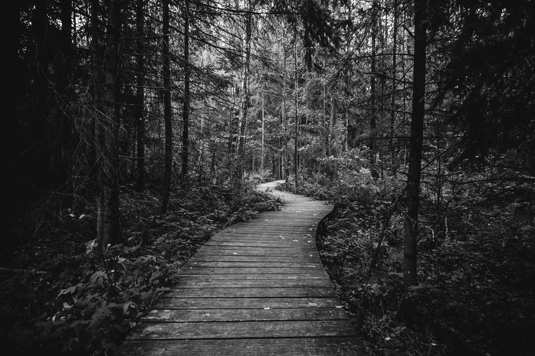 path.jpg